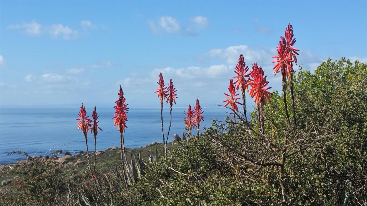 Onze Uitsight Cottage St Helena Bay Exteriér fotografie